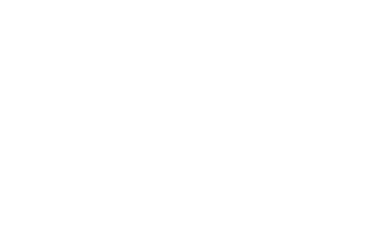 Line drawing of Blanch King Shipwreck in Bermuda