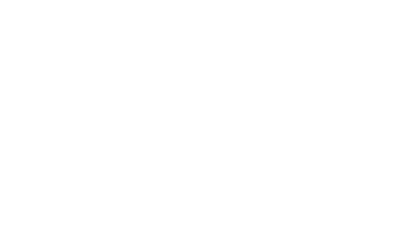 Line drawing of Constellation Shipwreck in Bermuda
