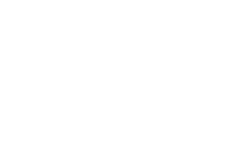 Line drawing of L'Herminie Shipwreck in Bermuda