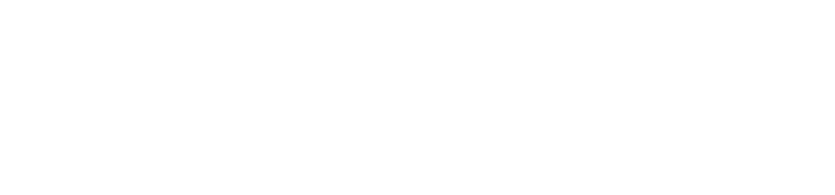 Line drawing of Mary Celestia Shipwreck in Bermuda