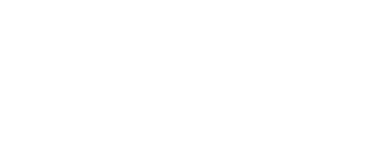 Line drawing of Minnie Breslauer Shipwreck in Bermuda